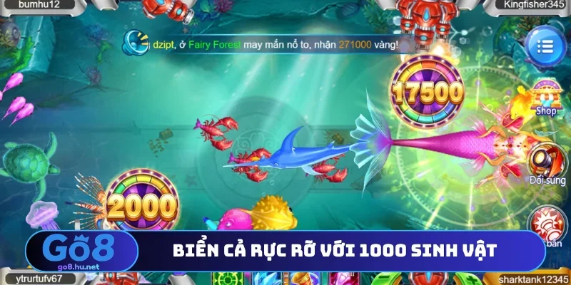 Biển cả rực rỡ với 1000 sinh vật