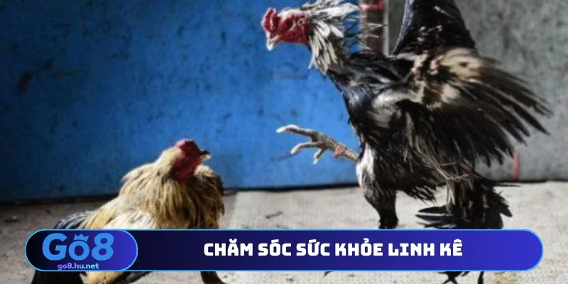 Chăm sóc sức khỏe linh kê